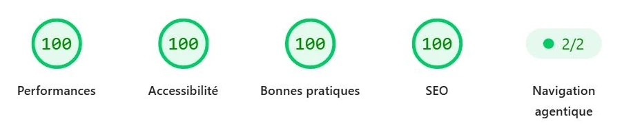 Notes PageSpeed Insights sur mobile : 100 en performances, accessibilite, bonnes pratiques et SEO